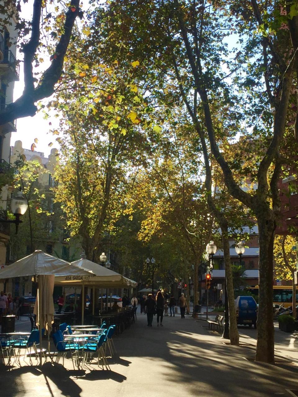 Charm Miro Apartment Barcelona Bagian luar foto